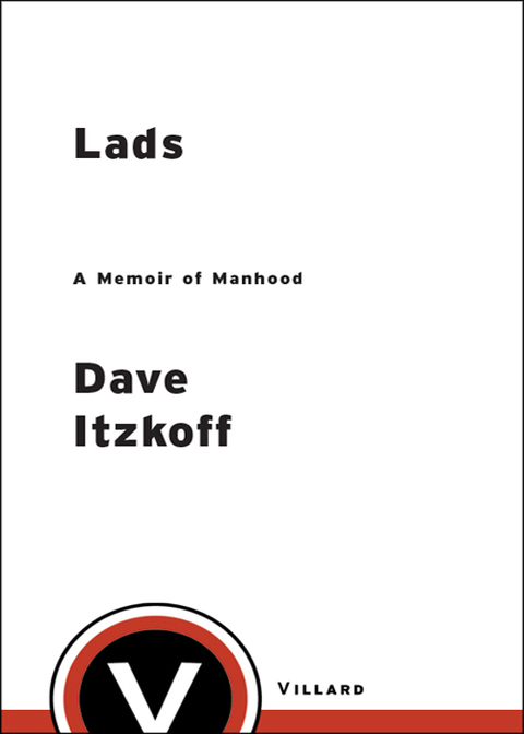 Cover image for book Lads