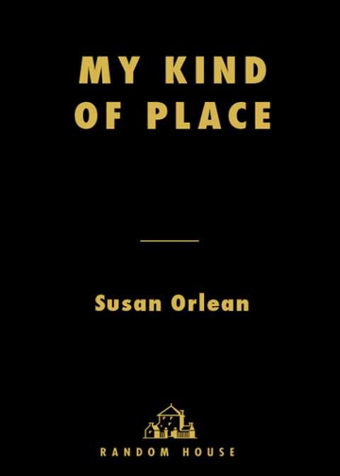 Cover image for book My Kind of Place