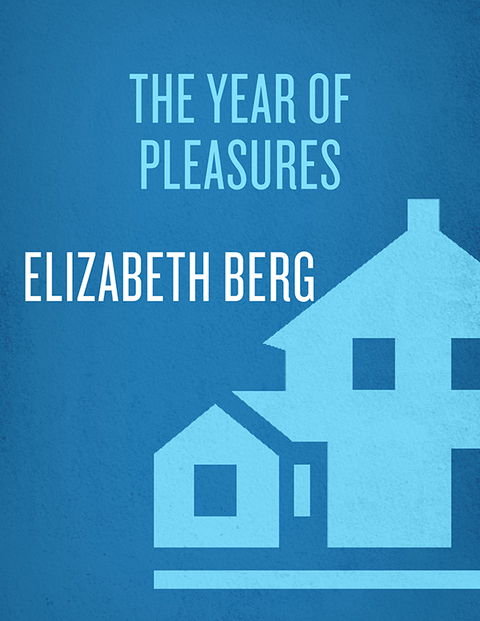 Cover image for book The Year of Pleasures