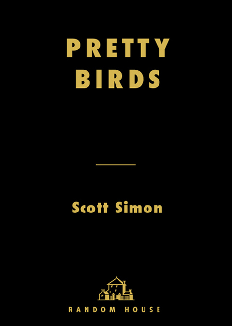 Cover image for book Pretty Birds
