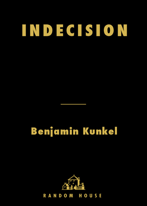 Cover image for book Indecision