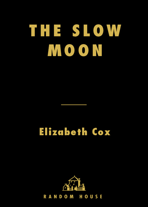 Cover image for book The Slow Moon