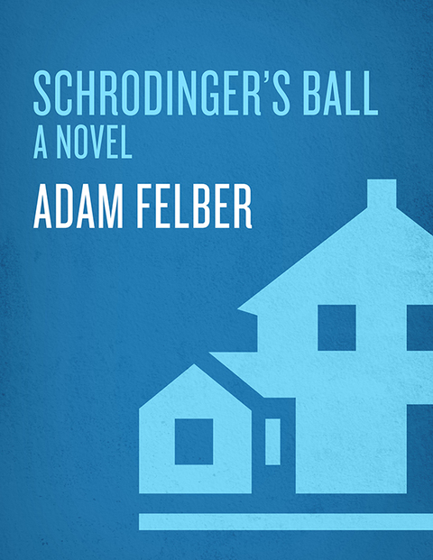 Cover image for book Schrodinger's Ball