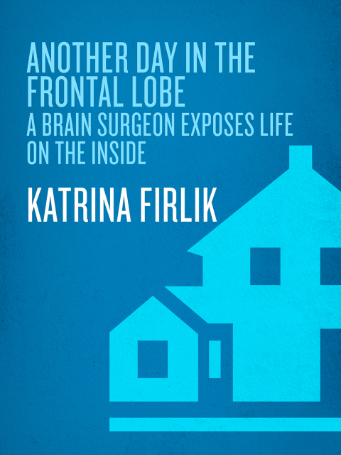 Cover image for book Another Day in the Frontal Lobe
