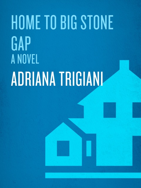 Cover image for book Home to Big Stone Gap