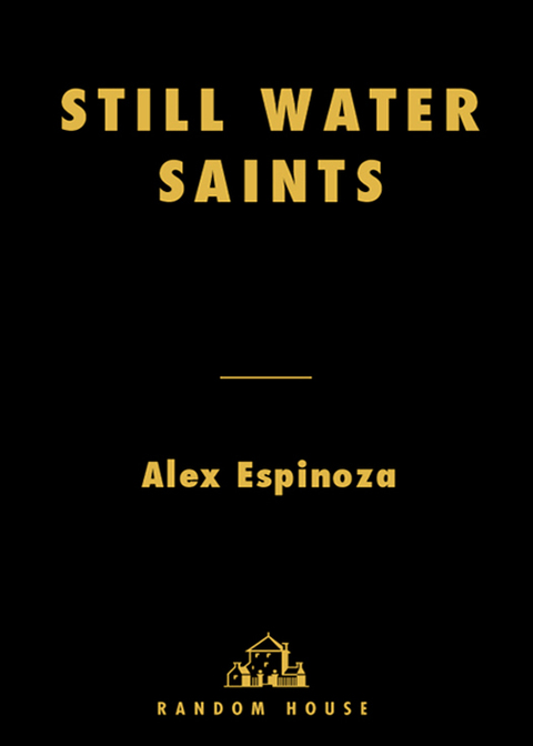 Cover image for book Still Water Saints