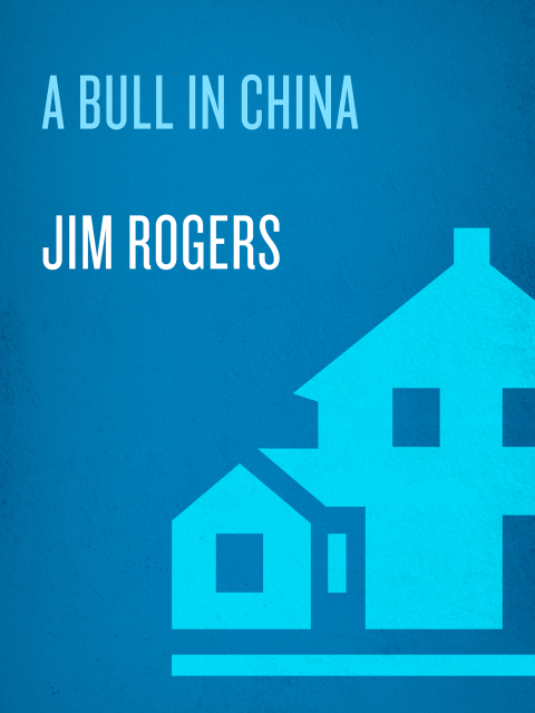 Cover image for book A Bull in China
