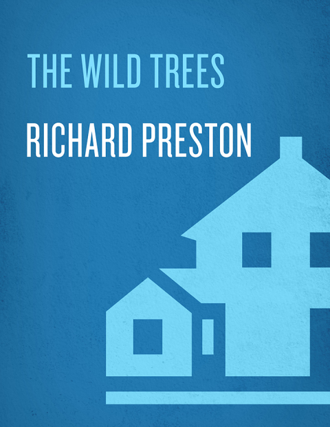 Cover image for book The Wild Trees