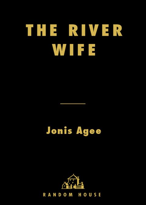 Cover image for book The River Wife