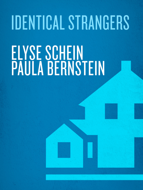 Cover image for book Identical Strangers