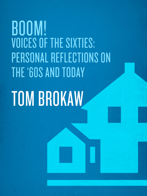 Cover image for book Boom!