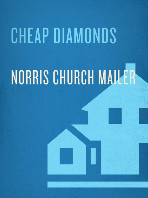 Cover image for book Cheap Diamonds