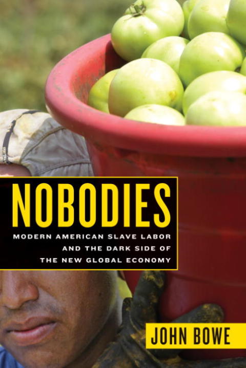 Cover image for book Nobodies