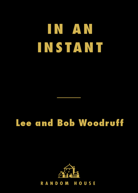 Cover image for book In an Instant