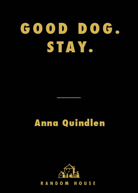 Cover image for book Good Dog. Stay.