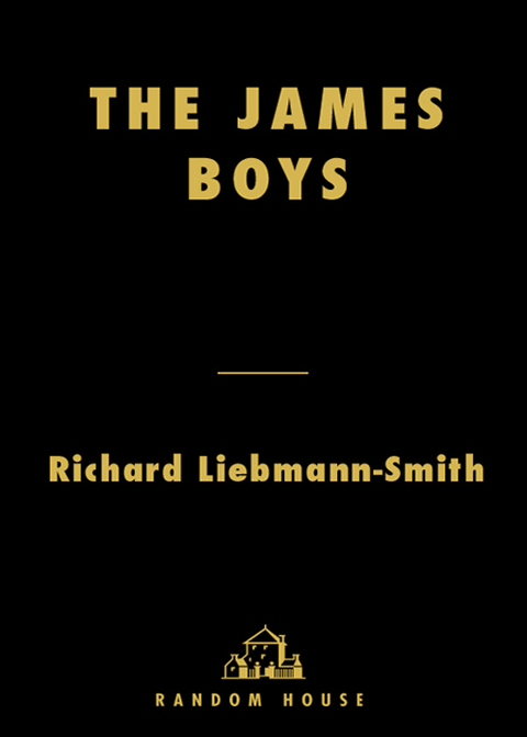 Cover image for book The James Boys