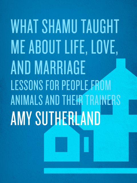 Cover image for book What Shamu Taught Me About Life, Love, and Marriage