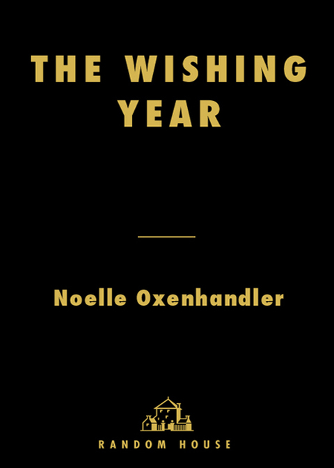 Cover image for book The Wishing Year