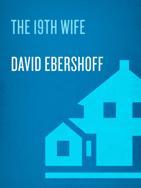Cover image for book The 19th Wife