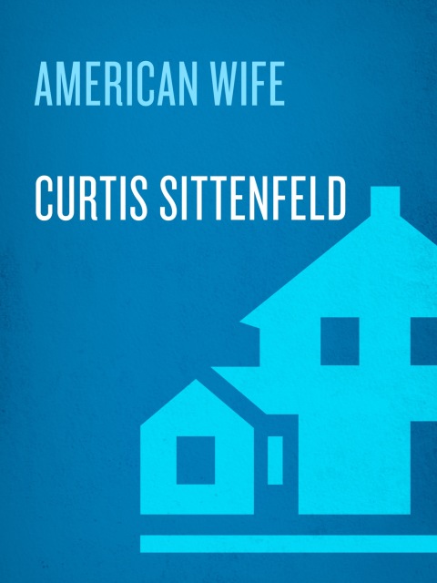Cover image for book American Wife