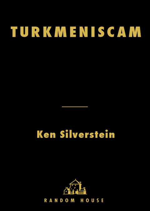 Cover image for book Turkmeniscam