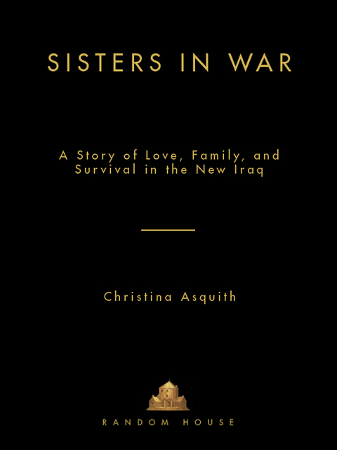 Cover image for book Sisters in War
