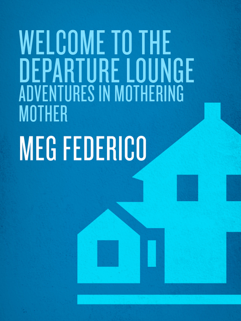 Cover image for book Welcome to the Departure Lounge