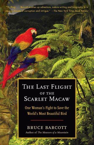 The Last Flight of the Scarlet Macaw