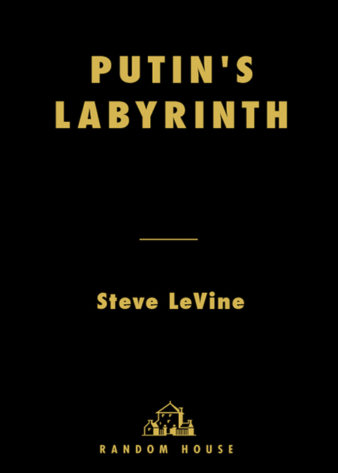Cover image for book Putin's Labyrinth