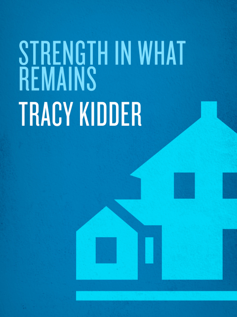 Cover image for book Strength in What Remains