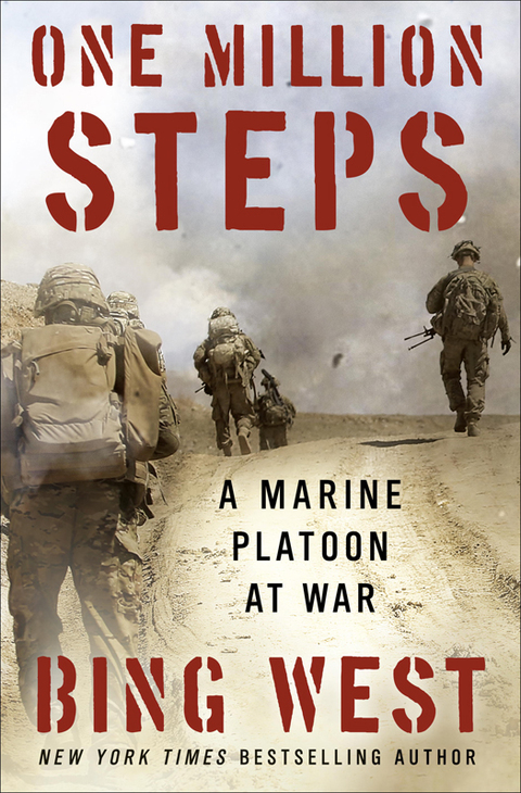 Cover image for book One Million Steps