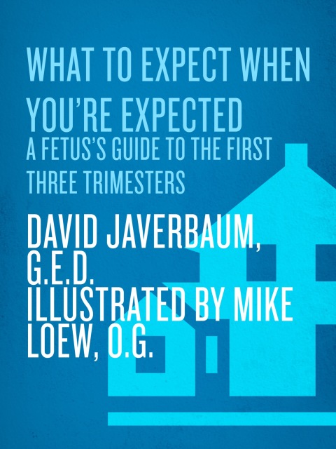 Cover image for book What to Expect When You're Expected