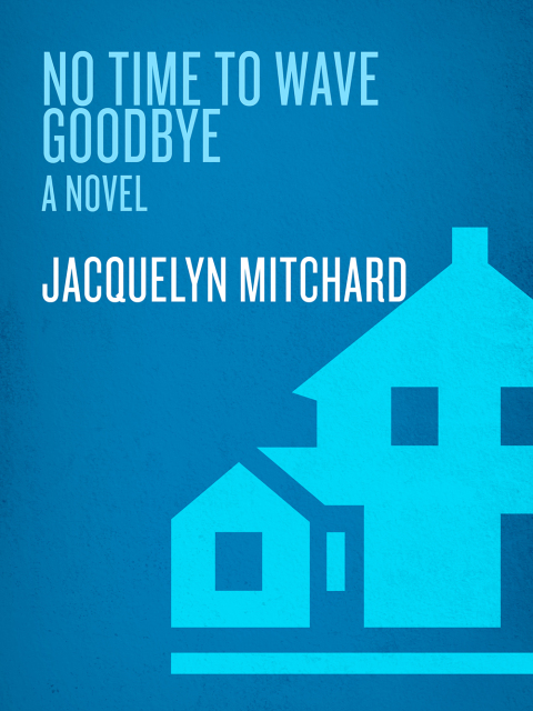 Cover image for book No Time to Wave Goodbye