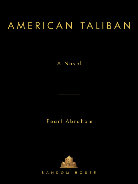Cover image for book American Taliban