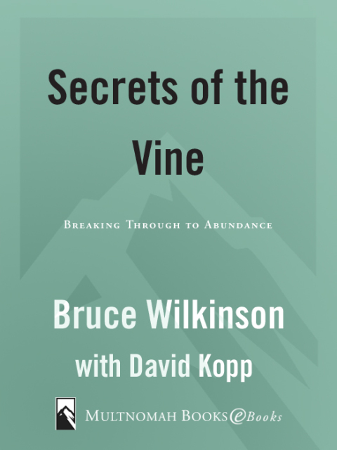 Cover image for book Secrets of the Vine