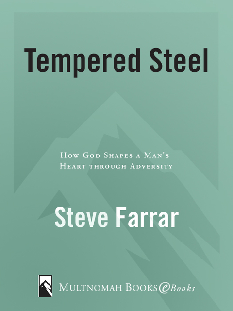 Cover image for book Tempered Steel