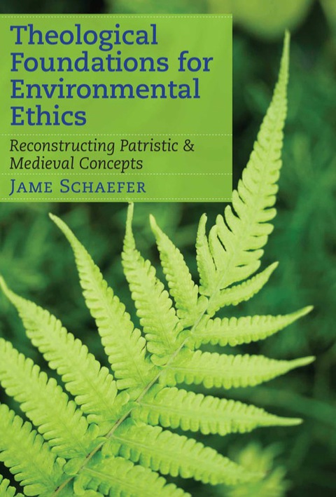 Cover image for book Theological Foundations for Environmental Ethics