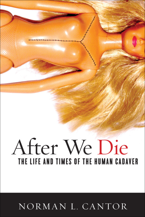Cover image for book After We Die