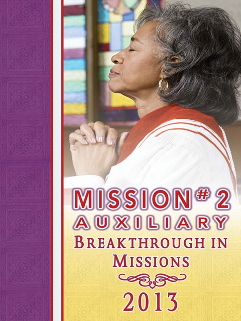 Cover image for book 2013 Mission #2 Auxiliary Mission Guide