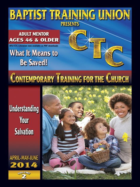 Cover image for book Adult Mentor