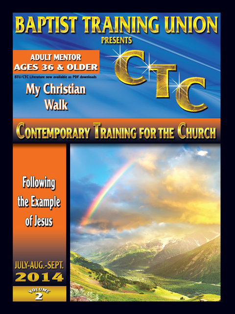 Cover image for book Adult Mentor