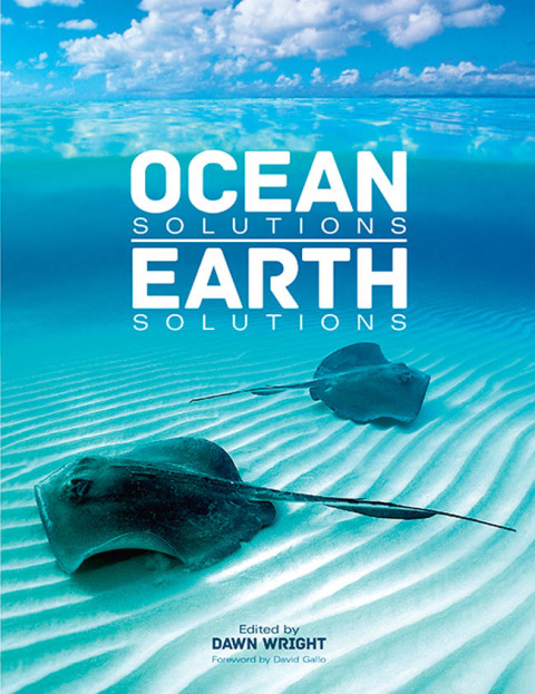 Cover image for book Ocean Solutions, Earth Solutions