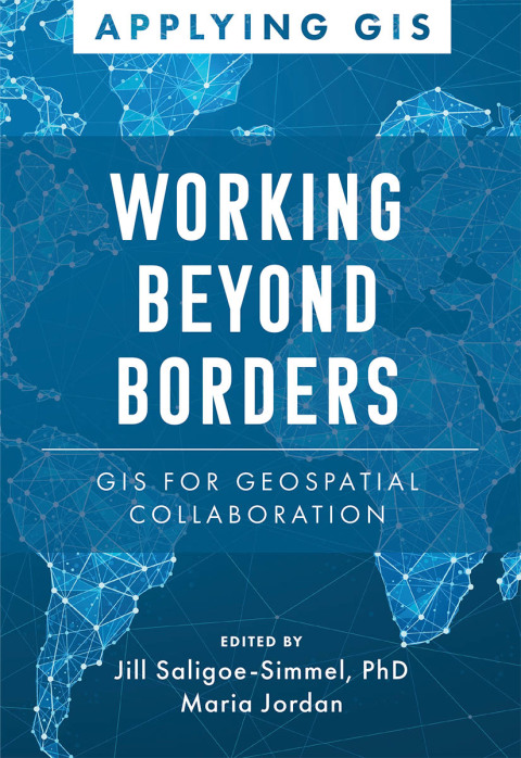 Cover image for book Working Beyond Borders