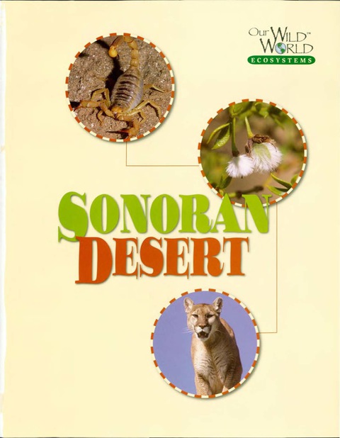 The Sonoran Desert 