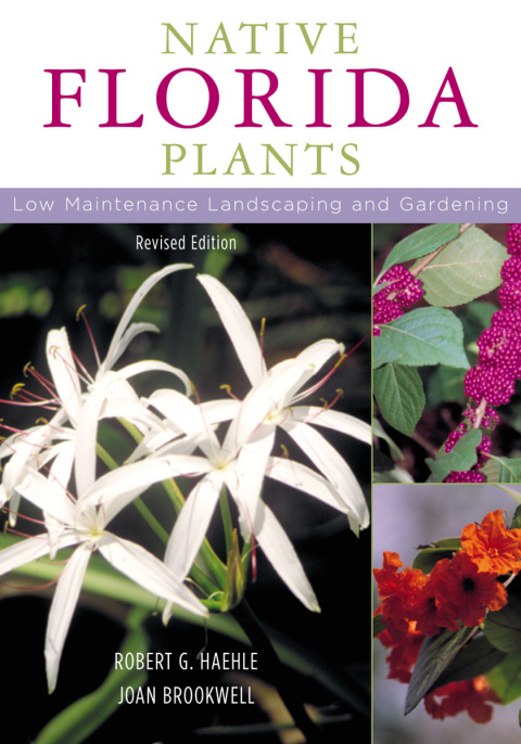 Cover image for book Native Florida Plants