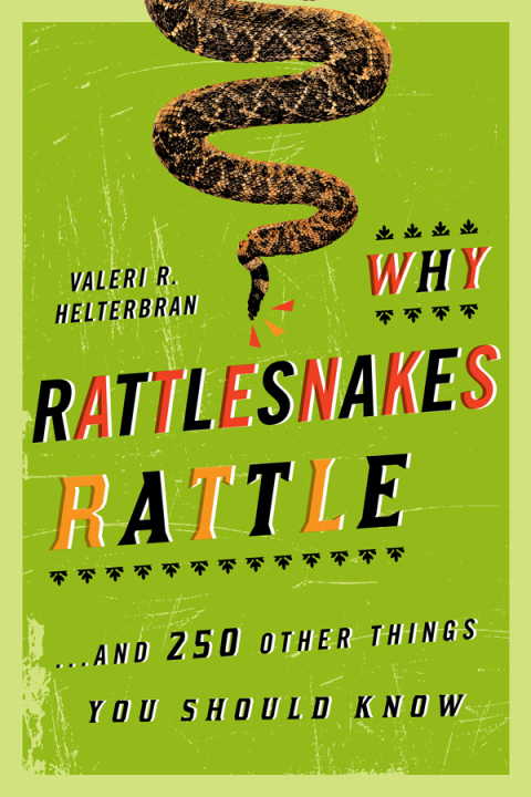 Cover image for book Why Rattlesnakes Rattle