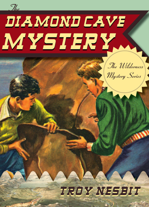 Cover image for book The Diamond Cave Mystery
