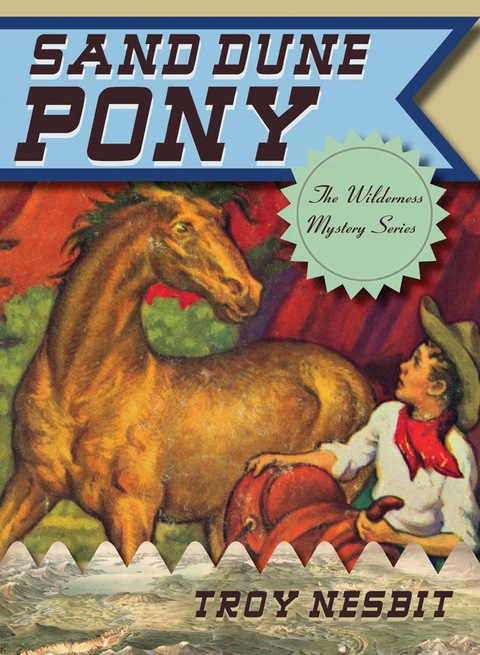 Cover image for book Sand Dune Pony