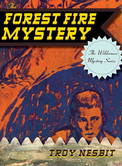Cover image for book The Forest Fire Mystery