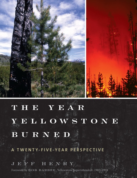 Cover image for book The Year Yellowstone Burned